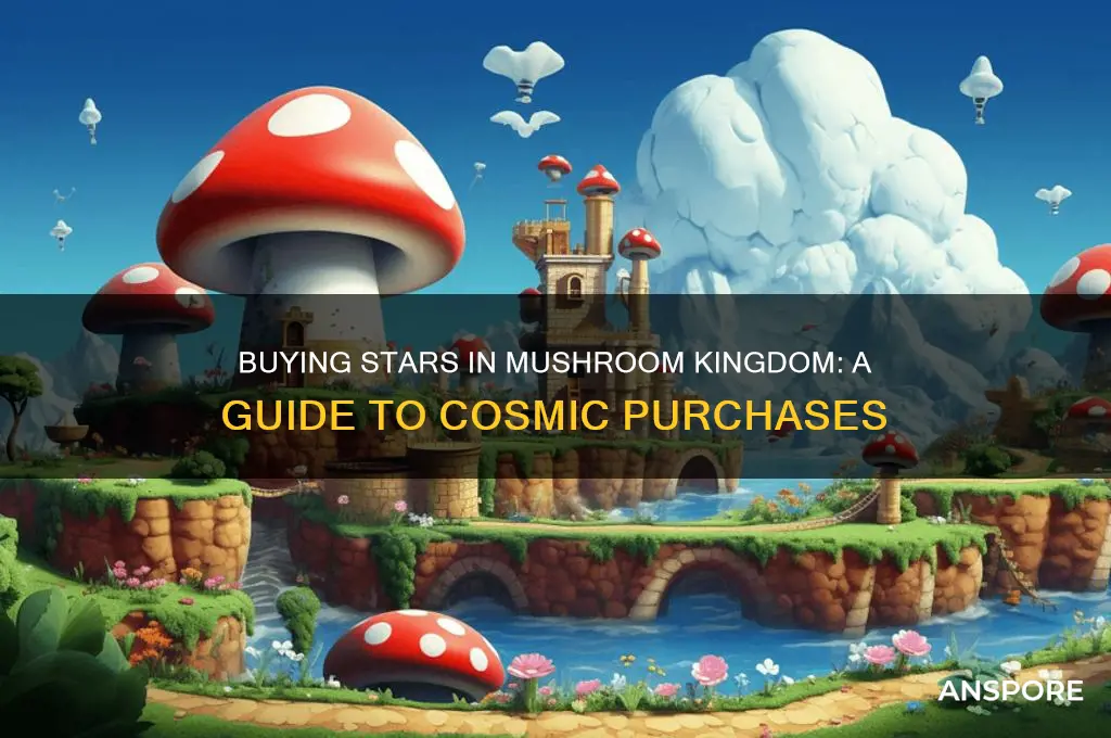 how many stars can you buy in mushroom kingdog