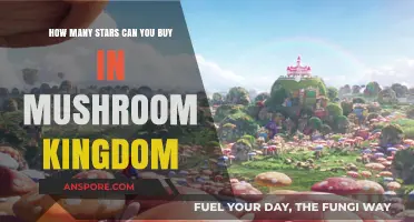 Buying Stars in Mushroom Kingdom: A Guide to Collecting Them All