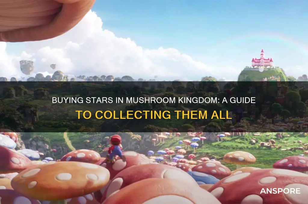 how many stars can you buy in mushroom kingdom