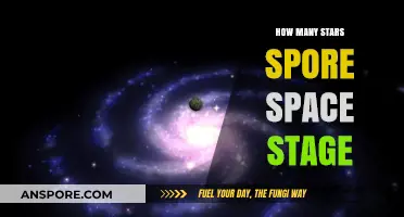 Exploring the Infinite: Star Count in Spore's Space Stage