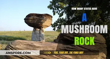 Mushroom Rocks: Which States Have These Unique Formations?