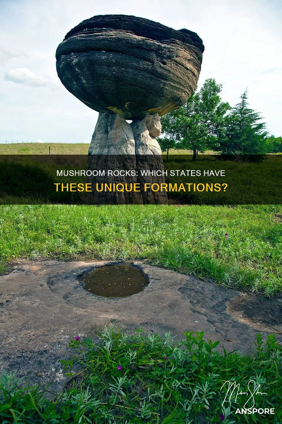 how many states have a mushroom rock
