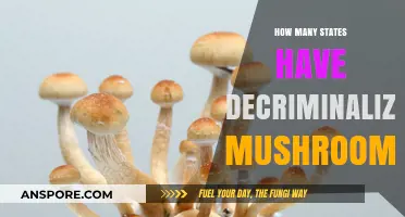 Magic Mushroom Laws: States with Decriminalized Psilocybin