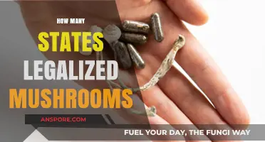 Legalized Mushrooms: Tracking State Decriminalization and Psychedelic Progress