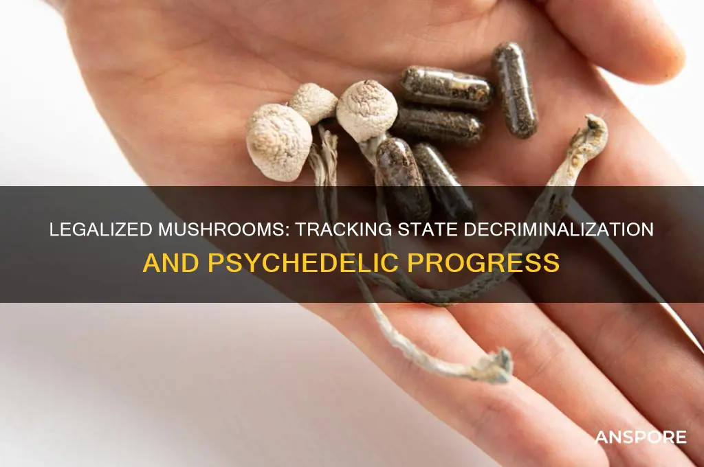 how many states legalized mushrooms