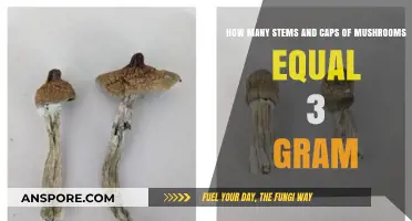 Weighing Shrooms: Stem and Cap Ratio