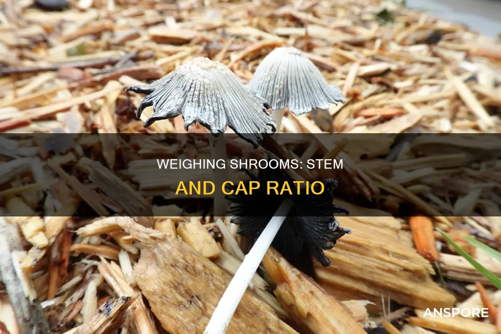 how many stems and caps of mushrooms equal 3 gram