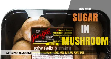Mushrooms: Surprising Sugar Facts and Healthy Options