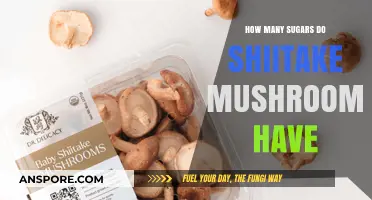Shiitake Mushrooms: Sugar Content and Health Benefits