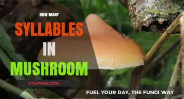 The Surprising Number of Syllables in Mushroom