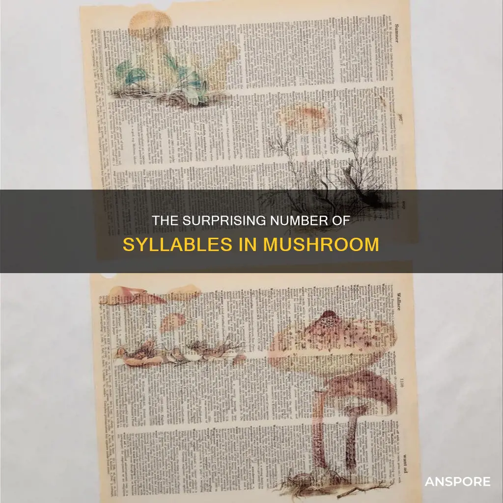 how many syllables in mushroom
