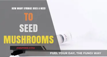Syringes for Mushroom Spawn: How Many Do You Need?