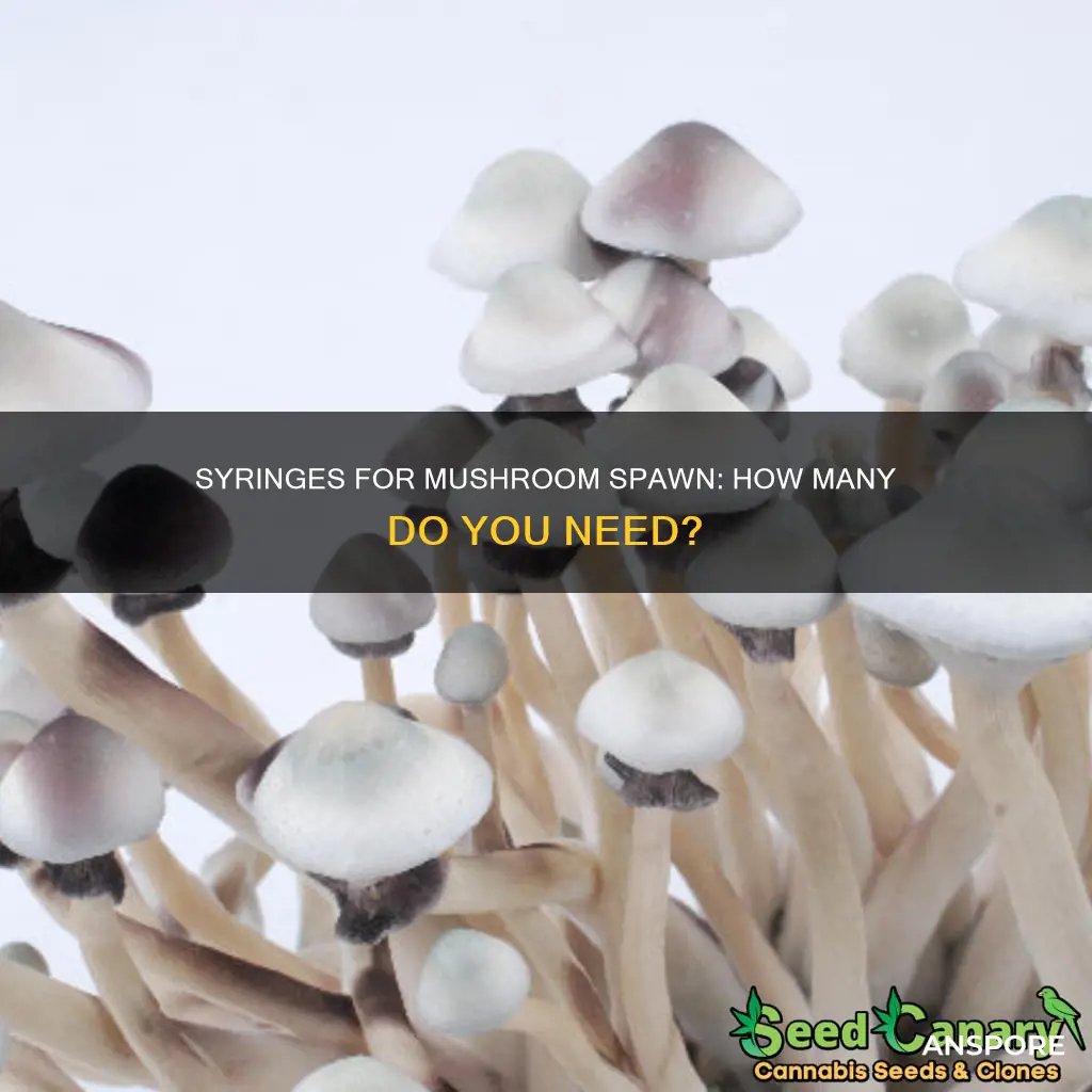 how many syringe does a need to seed mushrooms