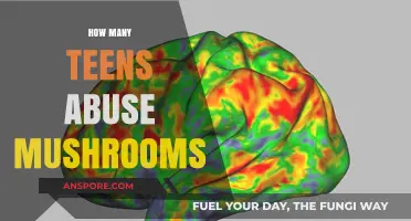 Mushroom Abuse Among Teens: A Growing Concern