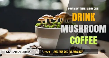 Optimal Daily Mushroom Coffee Intake: How Often Should You Sip?