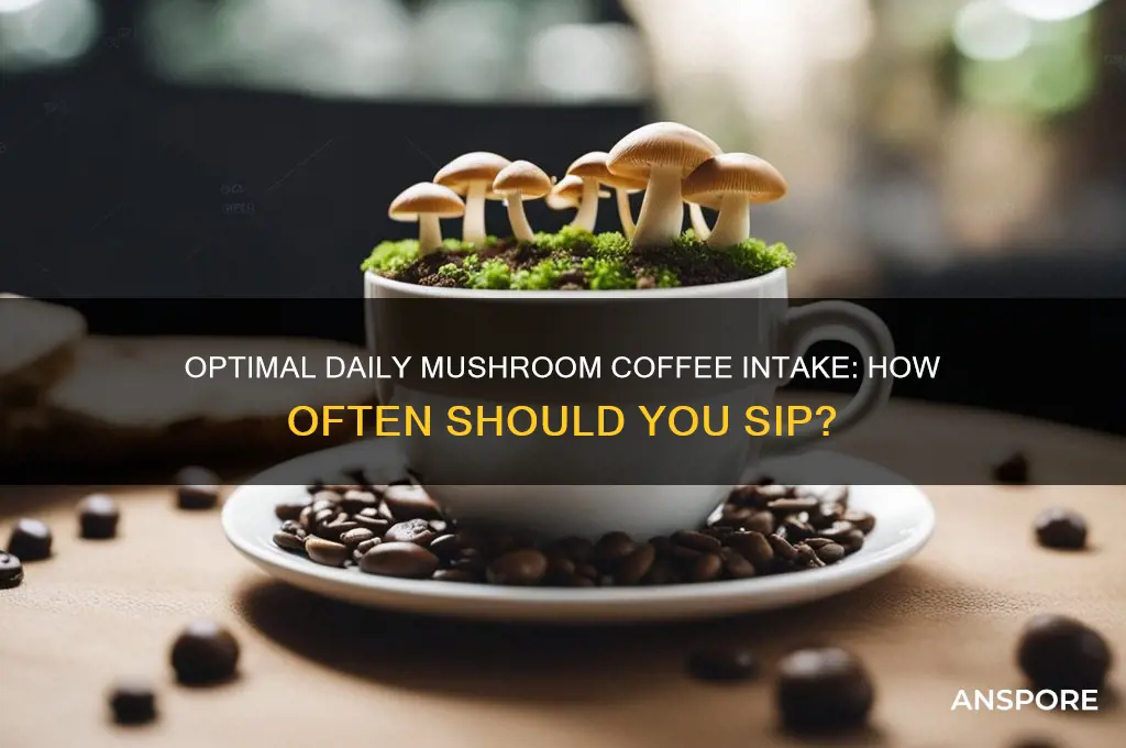 how many times a day can i drink mushroom coffee