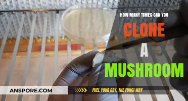 Exploring Mushroom Cloning Limits: How Many Times Can You Clone?