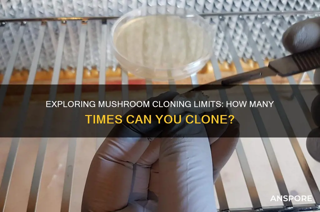 how many times can you clone a mushroom