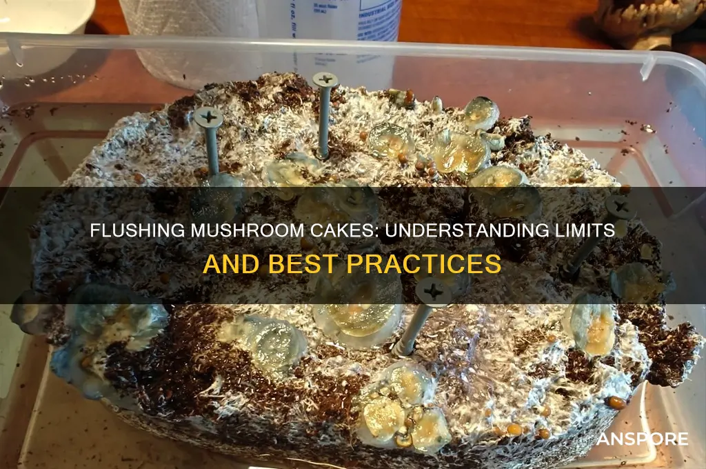 how many times can you flush a mushroom cake