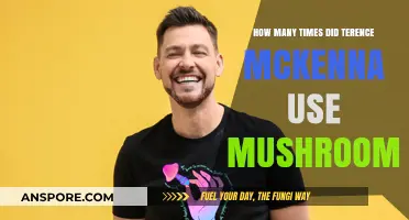 Terence McKenna's Mushroom Use: Frequency and Psychedelic Insights