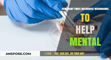 Microdosing Mushrooms: A Mental Health Routine