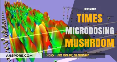 Microdosing Mushrooms: How Often Should You Take Them?
