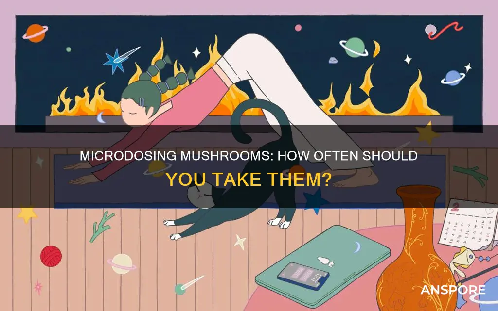 how many times microdosing mushrooms