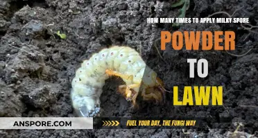 Effective Milky Spore Powder Application Frequency for a Healthy Lawn