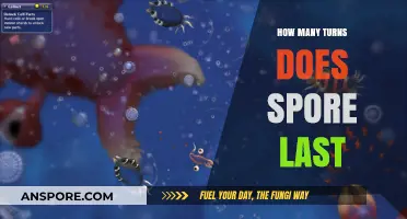 Understanding Spore's Duration: How Many Turns Does It Last?