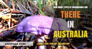 Mushroom Varieties in Australia: Exploring the Diverse Fungi Kingdom