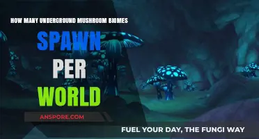 Exploring the Underground: Mushroom Biomes in Your Minecraft World