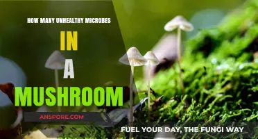 Unhealthy Microbes in Mushrooms: How Many Lurk?