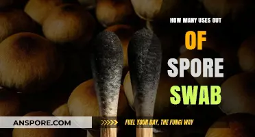 Maximizing Spore Swab Potential: Exploring Diverse Applications and Uses