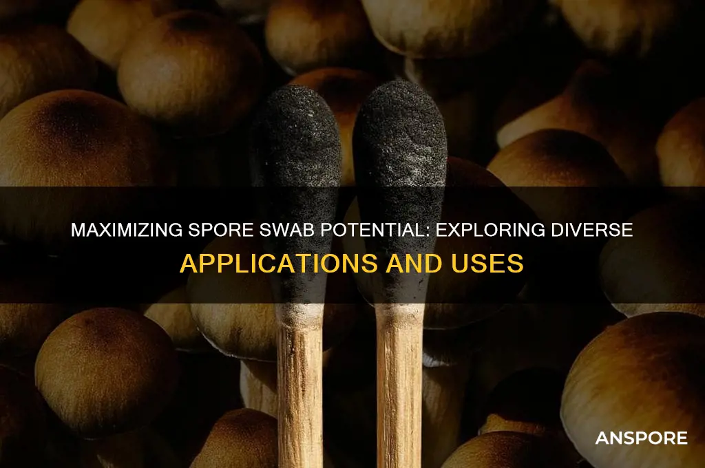 how many uses out of spore swab