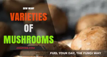 Mushroom Varieties: A Diverse and Delicious World