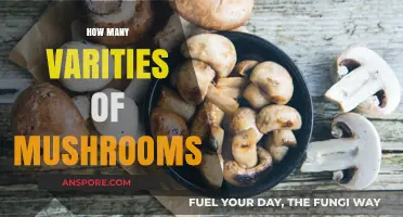 Mushroom Varieties: A Surprising Number to Discover