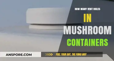 Vent Holes: The Secret to Mushroom Container Success