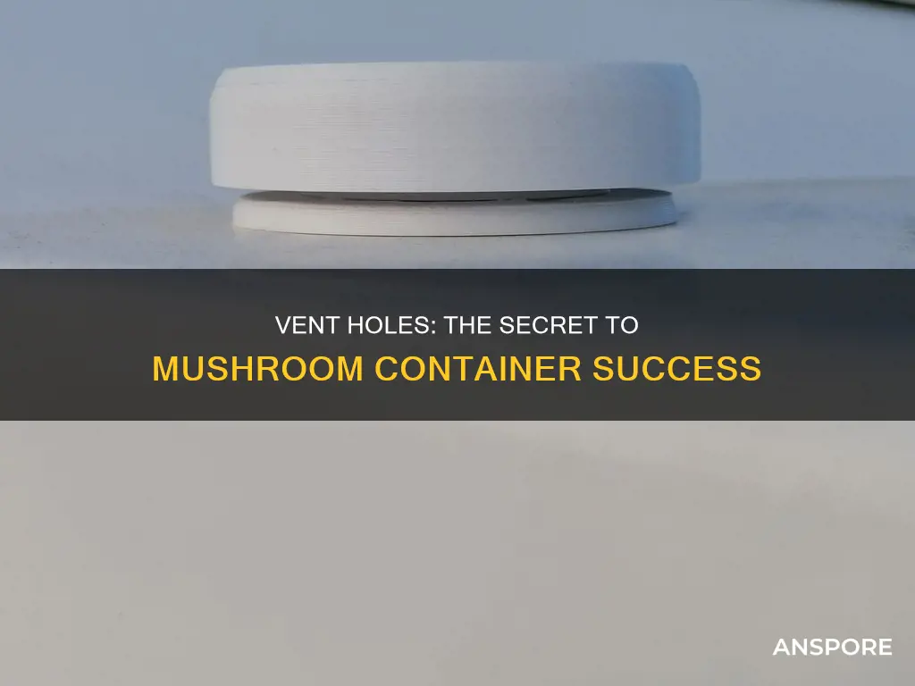 how many vent holes in mushroom containers