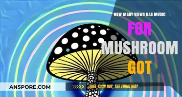 Mushroom Music's View Count: A Surprising Number