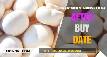 Shelf Life Secrets: How Long Do Mushrooms Stay Fresh After Purchase?