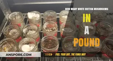White Button Mushrooms: How Many Make a Pound?