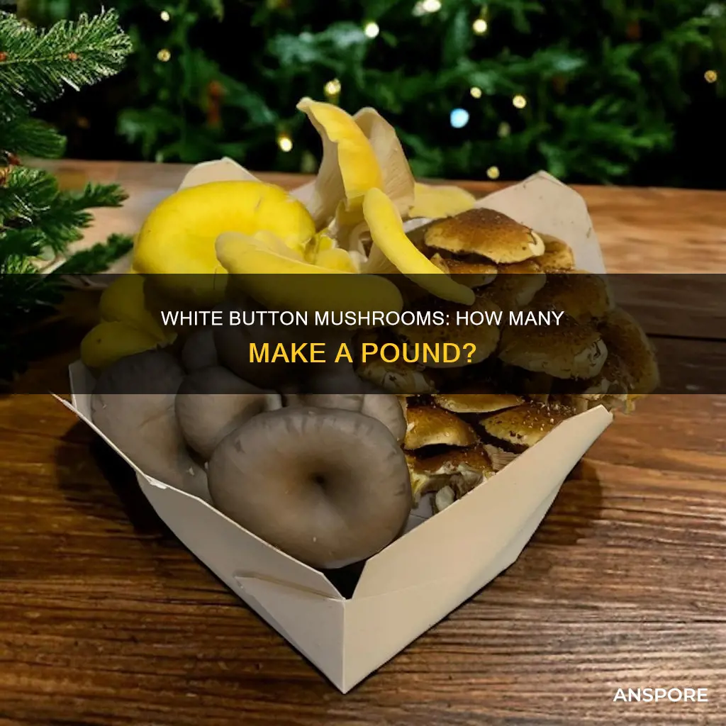 how many white button mushrooms in a pound