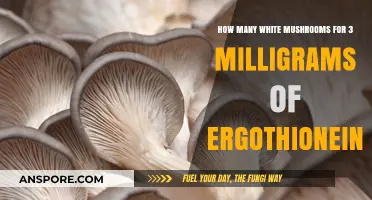 White Mushrooms: Ergothioneine Content and Benefits