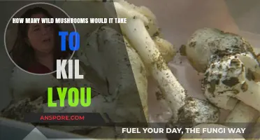 Deadly Fungi: Wild Mushrooms and Their Lethal Dosage