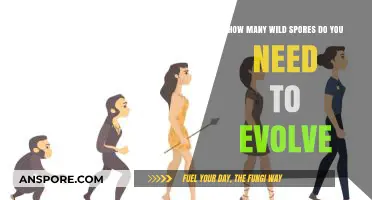 Evolving Wild Spores: Understanding the Quantity Needed for Evolution