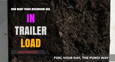 Mushroom Soil: Trailer Load Yardage Explained