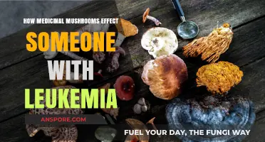 Medicinal Mushrooms: Natural Treatment for Leukemia