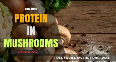 Mushrooms: A Surprising Source of Protein