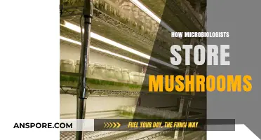 The Ultimate Guide to Storing Mushrooms, by Microbiologists