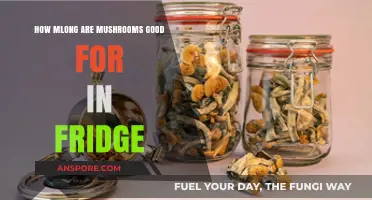How Long Do Mushrooms Stay Fresh in the Fridge?